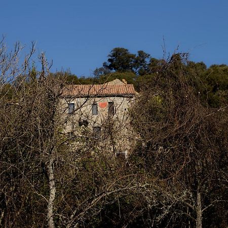 Casa Giacometti Grosseto-Prugna Exterior photo